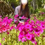 ヒメ日記 2025/06/02 20:30 投稿 あみ 性腺熟女100％（デリヘル市場）