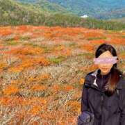 ヒメ日記 2025/10/21 20:30 投稿 あみ 性腺熟女100％（デリヘル市場）