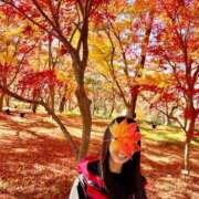 あみ 12月の予定 性腺熟女100％（デリヘル市場）