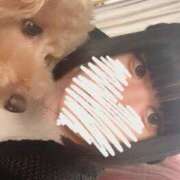 ヒメ日記 2025/08/14 09:21 投稿 ひかり☆高リピート率92％ じゃむじゃむ