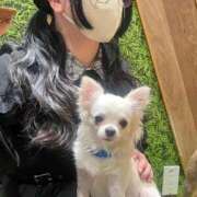 ヒメ日記 2025/11/16 14:01 投稿 ひかり☆高リピート率92％ じゃむじゃむ