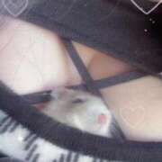 ヒメ日記 2026/03/13 17:01 投稿 ひかり☆高リピート率92％ じゃむじゃむ