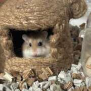 ヒメ日記 2026/06/10 19:21 投稿 ひかり☆高リピート率92％ じゃむじゃむ