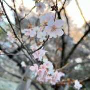 ヒメ日記 2025/01/08 15:23 投稿 ゆずき 大高・大府市・東海市ちゃんこ