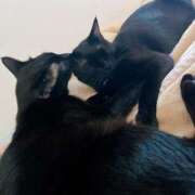 ヒメ日記 2025/02/19 05:23 投稿 ゆずき 大高・大府市・東海市ちゃんこ