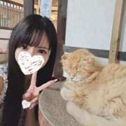 ヒメ日記 2025/08/06 05:28 投稿 しきな 東京妻