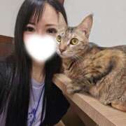 しきな 猫カフェ❤ 東京妻