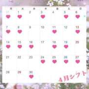 ヒメ日記 2025/04/01 07:26 投稿 かれん グランローズ