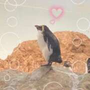 ヒメ日記 2025/08/14 10:26 投稿 かれん グランローズ