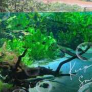 ヒメ日記 2025/08/17 13:21 投稿 かれん グランローズ