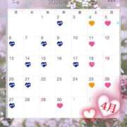 ヒメ日記 2026/03/31 10:06 投稿 かれん グランローズ