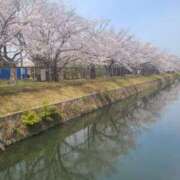 ヒメ日記 2025/04/05 15:16 投稿 ゆみ タレント倶楽部Around40