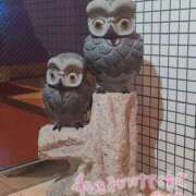 ヒメ日記 2025/04/13 21:54 投稿 ゆみ タレント倶楽部Around40