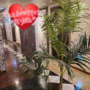 ヒメ日記 2025/06/09 12:48 投稿 ゆみ タレント倶楽部Around40