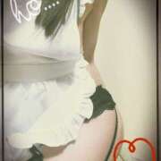 ヒメ日記 2025/06/15 15:58 投稿 ゆみ タレント倶楽部Around40