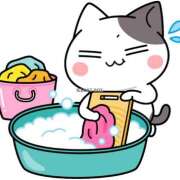 ヒメ日記 2025/07/28 00:22 投稿 ゆみ タレント倶楽部Around40