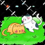 ヒメ日記 2025/08/03 16:16 投稿 ゆみ タレント倶楽部Around40