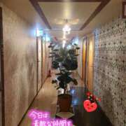 ヒメ日記 2025/08/13 17:16 投稿 ゆみ タレント倶楽部Around40