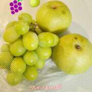 ヒメ日記 2025/09/11 19:48 投稿 ゆみ タレント倶楽部Around40