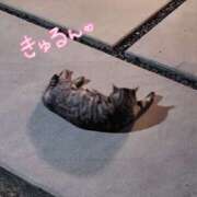 ヒメ日記 2025/11/14 22:36 投稿 ゆみ タレント倶楽部Around40