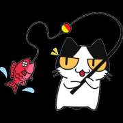 ヒメ日記 2026/02/22 11:56 投稿 ゆみ タレント倶楽部Around40