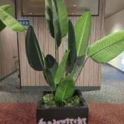 ゆみ 先日御礼、タイムゾーンのお兄さん…へ タレント倶楽部Around40