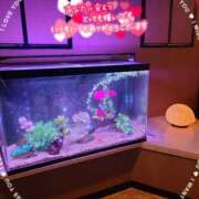 ヒメ日記 2026/04/13 08:40 投稿 ゆみ タレント倶楽部Around40