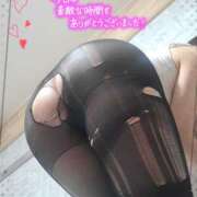 ヒメ日記 2026/10/11 23:44 投稿 ゆみ タレント倶楽部Around40