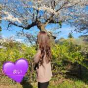 ヒメ日記 2025/04/10 16:46 投稿 まい 埼玉西川口ショートケーキ（シンデレラグループ）