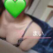 ヒメ日記 2025/04/11 14:06 投稿 まい 埼玉西川口ショートケーキ（シンデレラグループ）