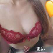 ヒメ日記 2025/06/28 08:02 投稿 まい 埼玉西川口ショートケーキ（シンデレラグループ）