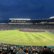 ヒメ日記 2025/07/18 19:13 投稿 黒崎 なな Platinum Legend(プラチナムレジェンド)