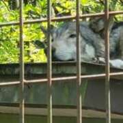 ヒメ日記 2025/04/26 14:42 投稿 Keiko Kamiya ELEGANT－エレガント－