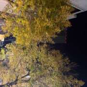 ヒメ日記 2025/11/22 23:47 投稿 Keiko Kamiya ELEGANT－エレガント－