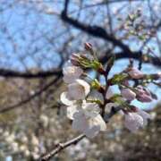 Keiko Kamiya 新年度へ向けて ELEGANT－エレガント－