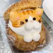 ヒメ日記 2025/03/11 09:30 投稿 岡田るみ 五十路マダム宇都宮店(カサブランカグループ)