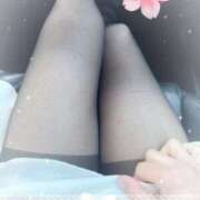 ヒメ日記 2025/04/04 11:30 投稿 岡田るみ 五十路マダム宇都宮店(カサブランカグループ)