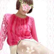 ヒメ日記 2025/04/08 08:04 投稿 岡田るみ 五十路マダム宇都宮店(カサブランカグループ)