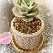 ヒメ日記 2025/06/02 08:14 投稿 岡田るみ 五十路マダム宇都宮店(カサブランカグループ)