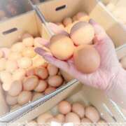 ヒメ日記 2025/06/02 10:48 投稿 岡田るみ 五十路マダム宇都宮店(カサブランカグループ)