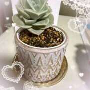 ヒメ日記 2025/06/06 06:44 投稿 岡田るみ 五十路マダム宇都宮店(カサブランカグループ)