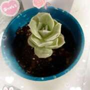 ヒメ日記 2025/06/09 18:22 投稿 岡田るみ 五十路マダム宇都宮店(カサブランカグループ)