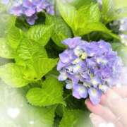 ヒメ日記 2025/06/13 08:08 投稿 岡田るみ 五十路マダム宇都宮店(カサブランカグループ)