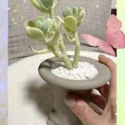 ヒメ日記 2025/06/17 06:22 投稿 岡田るみ 五十路マダム宇都宮店(カサブランカグループ)