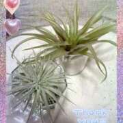 ヒメ日記 2025/06/27 09:58 投稿 岡田るみ 五十路マダム宇都宮店(カサブランカグループ)