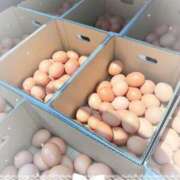 ヒメ日記 2025/06/30 11:26 投稿 岡田るみ 五十路マダム宇都宮店(カサブランカグループ)