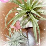 ヒメ日記 2025/07/07 08:14 投稿 岡田るみ 五十路マダム宇都宮店(カサブランカグループ)