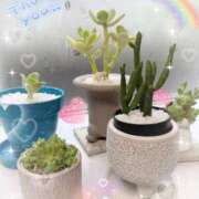 ヒメ日記 2025/07/14 08:34 投稿 岡田るみ 五十路マダム宇都宮店(カサブランカグループ)