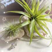 ヒメ日記 2025/07/16 06:46 投稿 岡田るみ 五十路マダム宇都宮店(カサブランカグループ)