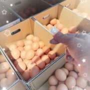 ヒメ日記 2025/07/28 11:20 投稿 岡田るみ 五十路マダム宇都宮店(カサブランカグループ)